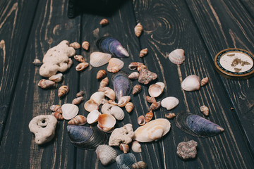 travel background.  compass, seaShell and camera on a wooden background