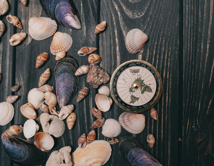 travel background.  compass, seaShell and camera on a wooden background