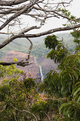 Waterfall  in Waimea Canyon