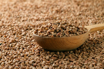 Buckwheat in a wooden spoon