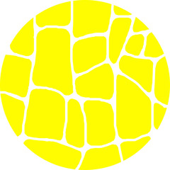 Giraffe Pattern