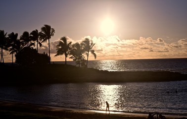 Ko Olina / Ko Olina resort in Hawaii with lagoons to calm the ocean waves.