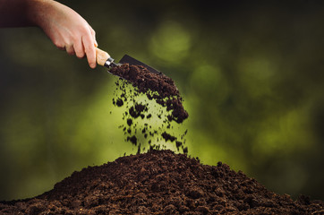 Hand pouring black soil with shovel on green bokeh background. Planting a small plant on a pile of...