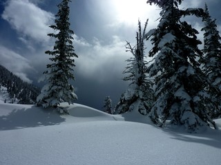 Fototapeta premium Hiking in the snow at Lost Boys Pass near Fernie Alpine Resort. 