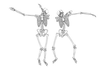 Human skeletons dancing DAB like friends, perform dabbing move gesture in group, posing isolated on white background, vector.