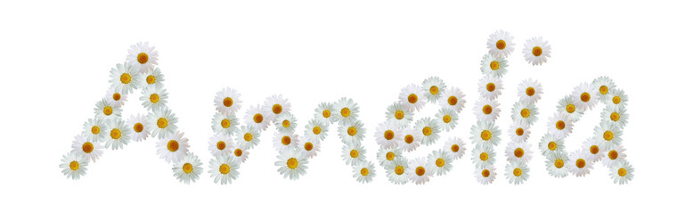 Daisy Name Amelia