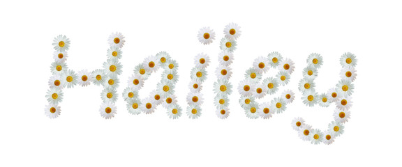 Daisy Name Hailey
