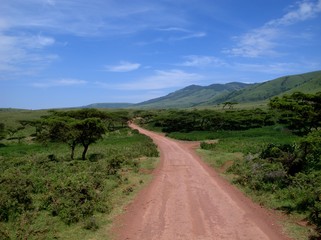 Fototapeta na wymiar The beautiful open roads leading from Ngorongoro Crater out into the Serengeti. 