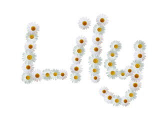 Daisy Name Lily