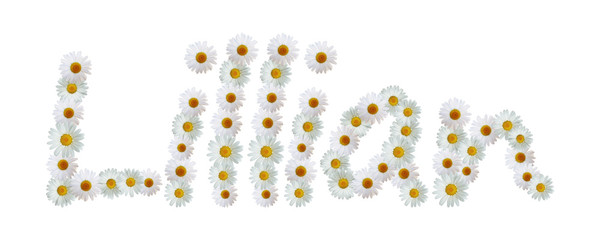 Daisy Name Lillian