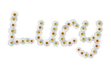 Daisy Name Lucy