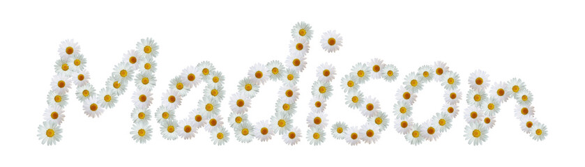 Daisy Name Madison