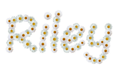 Daisy Name Riley