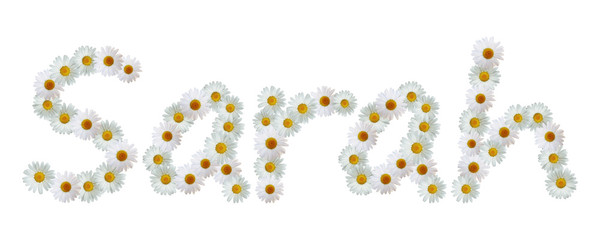 Daisy Name Sarah