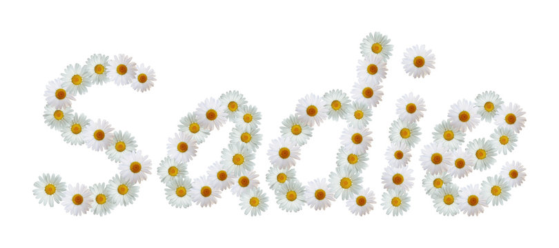 Daisy Name Sadie