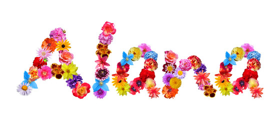 Flower Name Alana