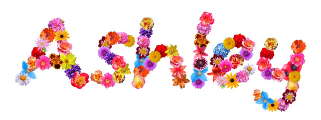 Flower Name Ashley