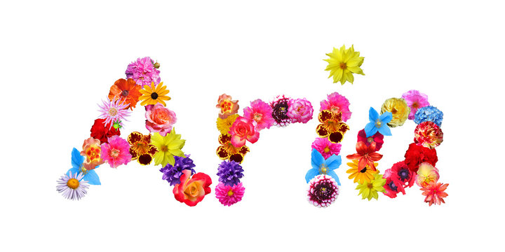 Flower Name Aria