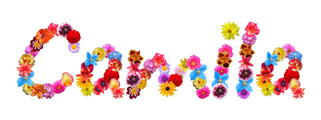 Flower Name Camila