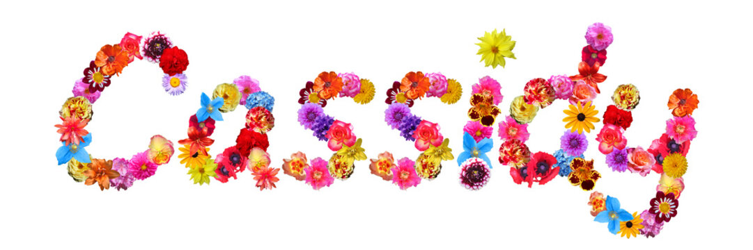 Flower Name Cassidy