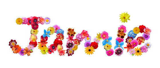 Flower Name Jamie