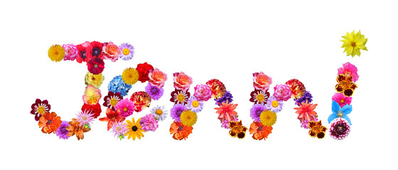 Flower Name Jenni