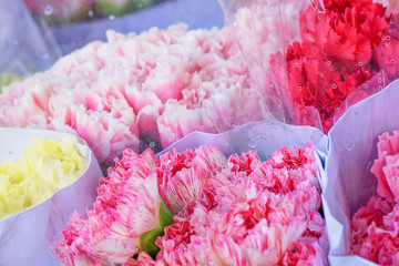 Group of Carnations Bouquet for Sell at Fresh Market