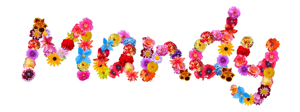 Mandy Flower Name