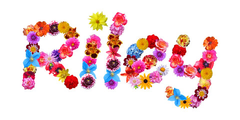Riley Flower Name