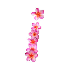 Plumeria Letter I