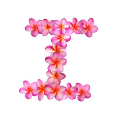 Plumeria Letter I