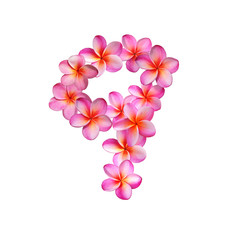 Plumeria Number Nine
