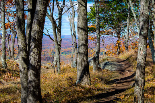 Autumn trail 