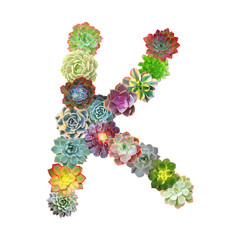 Succulent Letter K