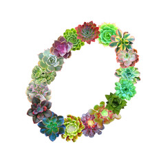 Succulent Letter O