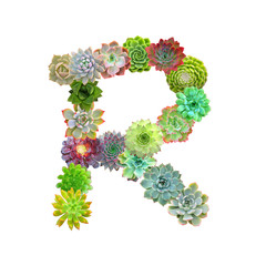 Succulent Letter R