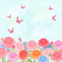 field of blooming chrysanthemum with flying butterflies for your