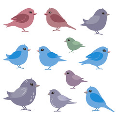 collection of couples birds for your design