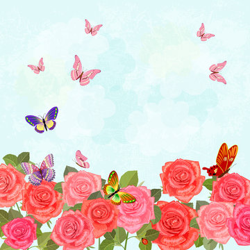 field of blooming roses with flying butterflies for your design