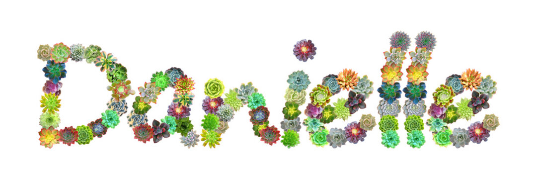 Danielle Succulent Name