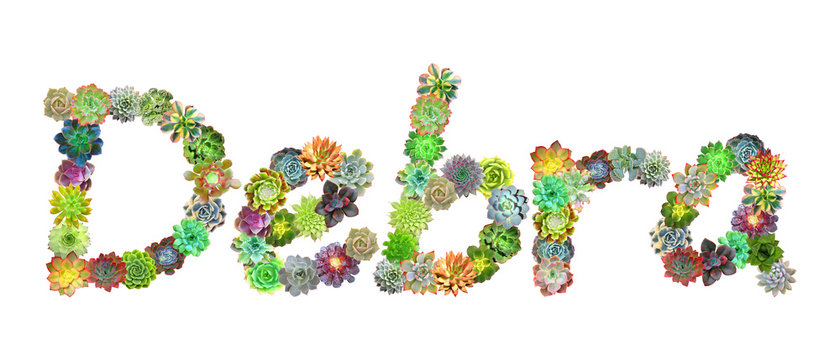 Debra Succulent Name