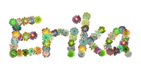 Erika Succulent Name