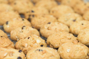 oat cookies with nuts and raisins