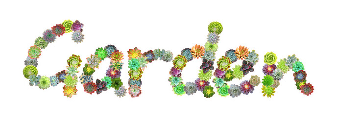 Garden Succulent Word