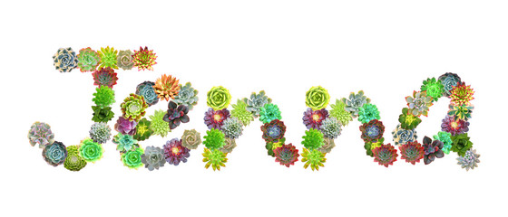Jenna Succulent Name
