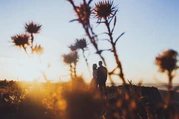 Silhouette of loving couple in rays of sun. Newlyweds walking outdoors