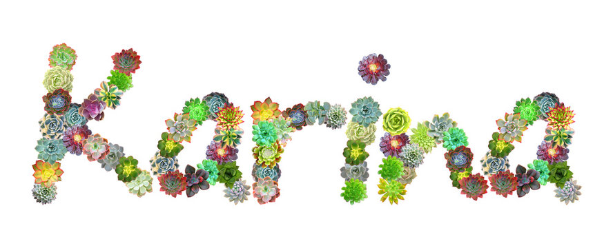 Karina Succulent Name