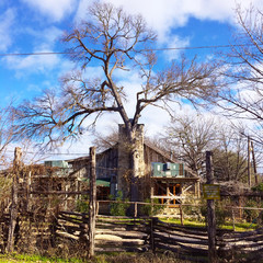 Shack or farmhouse.  Old house in Texas.  Old trees surrounding it.