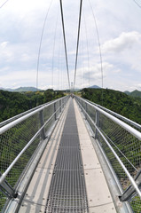 歩く吊橋