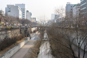 cheonggyecheon in winter